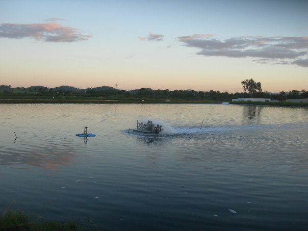 クイーンズランド州の片田舎でエビの養殖